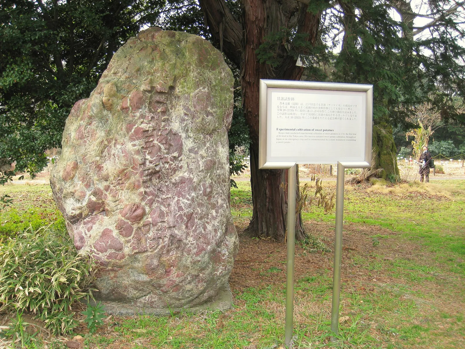 Koishikawa Botanical Gardens, Tokyo, Japan - monument to Konyo Aoki, who introduced sweet potatoes to Japan in 1735.