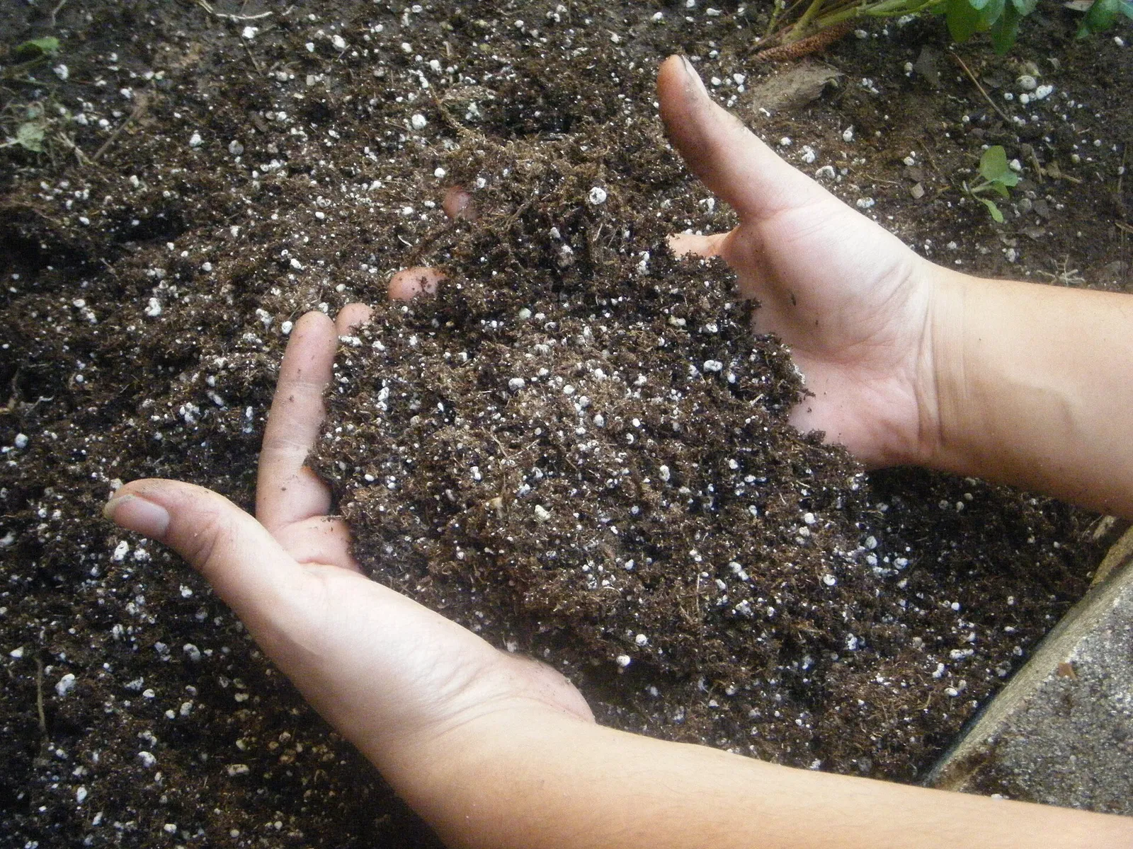 This is a picture of hands sifting through potting soil in a garden bed.